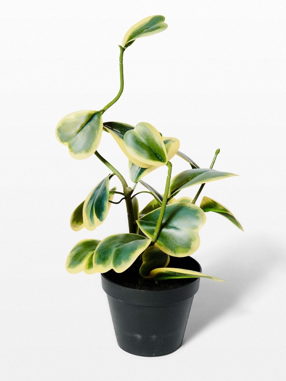 [NWOT] Faux Trailing Heart Plant